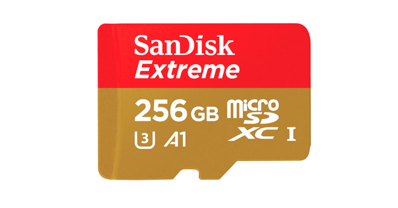 microSD de 256 Gb