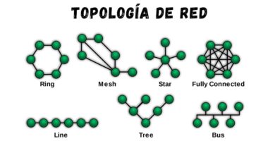 Tipos de Topología de red: malla, estrella, árbol, bus y anillo