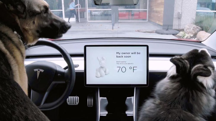 Tesla lanza el "Modo Perro" para Cuidar a su Mascota Cuando lo Dejes Solo