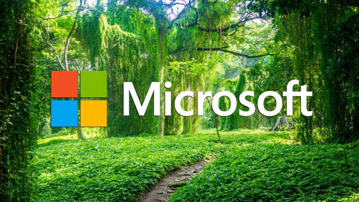 Bosque, El Nuevo Lenguaje de Programación de Microsoft
