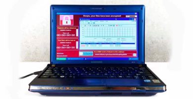 Laptop Infectada con 6 virus Peligrosos fue Vendida por más de Un Millón de Dolares