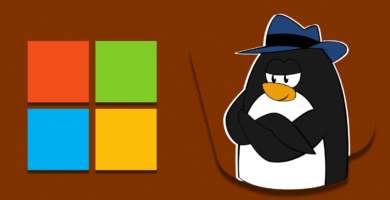 Microsoft acaba de presentar un Nuevo Proyecto para el Kernel de Linux